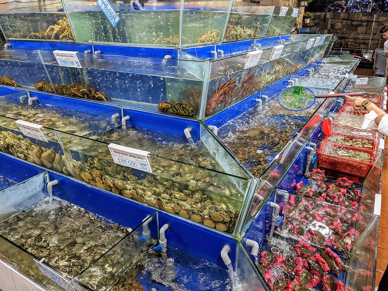 Mỹ Hạnh 海鲜 参考图 1